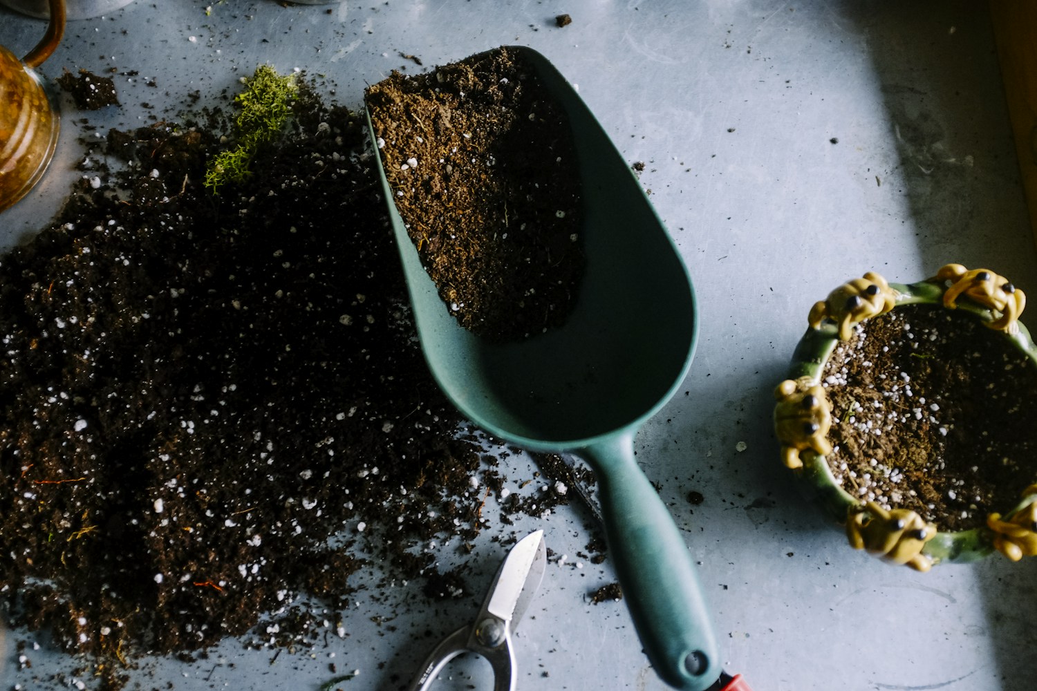 Landscaping & lawn care website concept